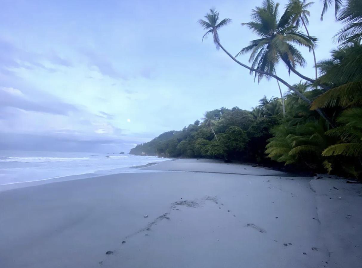 Casa G - Manuel Antonio Oceanview Hotel เกโปส ภายนอก รูปภาพ